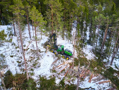 Allskog_DJI_0467_web